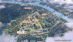  政策层面的持续发